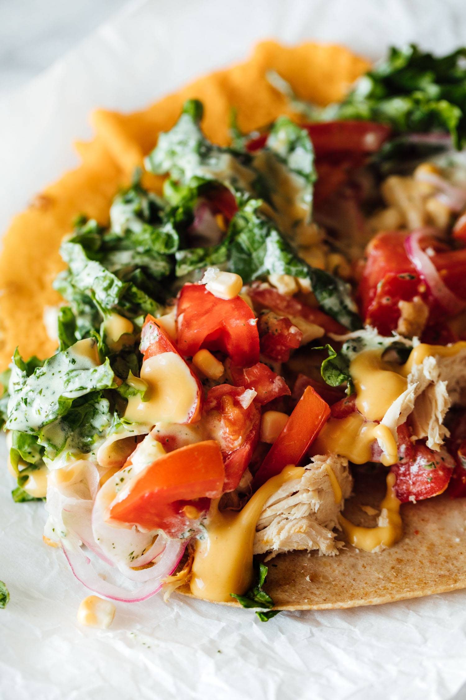 Close up of a saucy chicken wrap with toppings.
