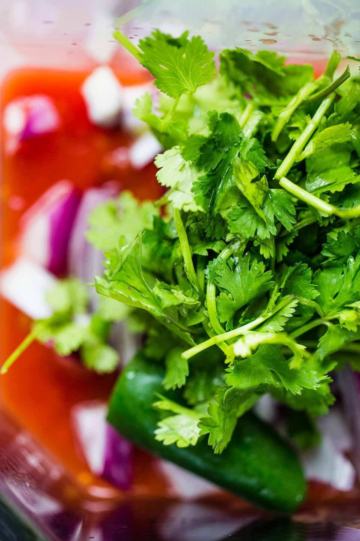 Herbs close up.