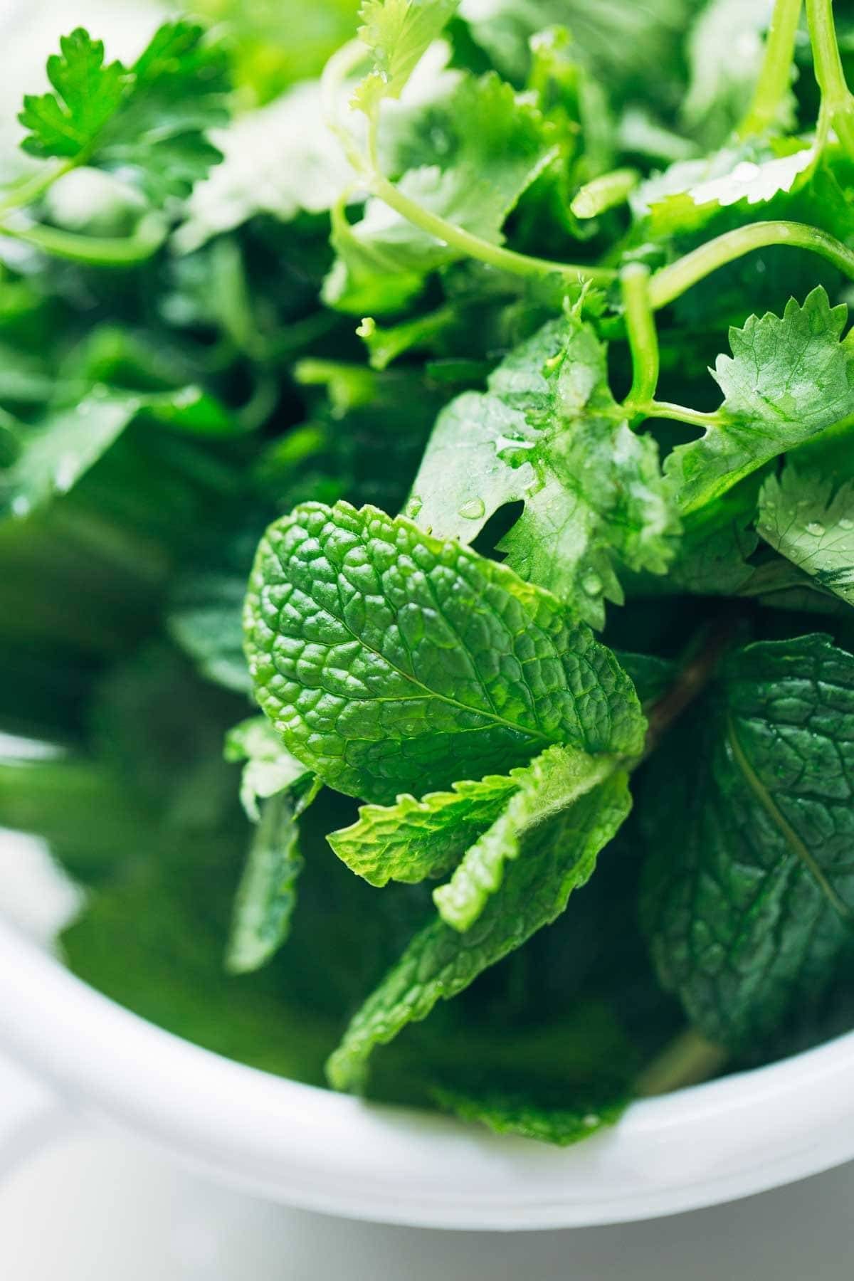 Herbs close up.